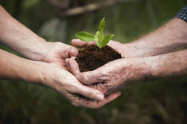 Quelle est la meilleure manière de stocker des herbes fraîches pour prolonger leur fraîcheur?
